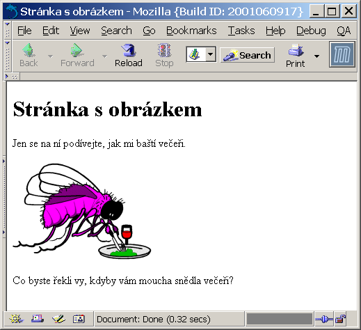 První stránka s vloženým obrázkem